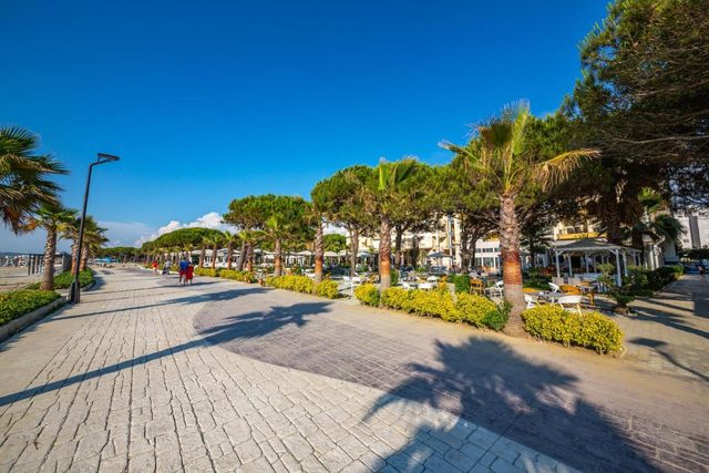 Wide paved seafront walkway lined with palms and pines under a clear sky
