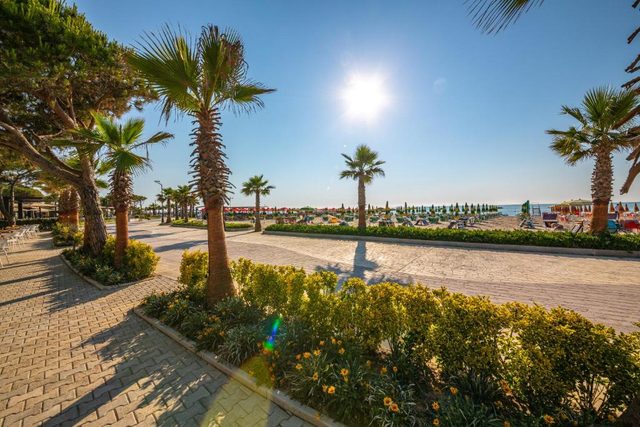 Midday sun over the promenade, with flowering hedges and beach umbrellas in the distance