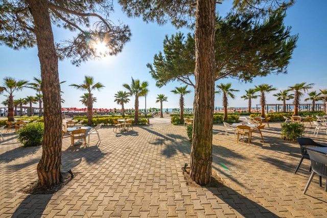 Tall pine trees shading outdoor tables that look toward the beach
